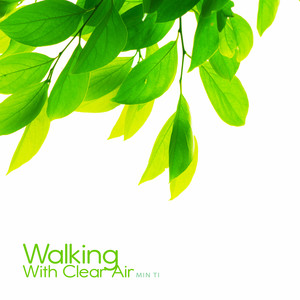 맑은 공기와의 산책 (Walking With Clear Air)