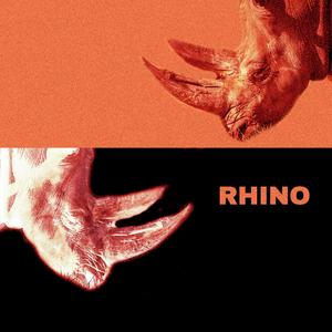 RHINO (feat. Giacomo XL & Talmek) (Explicit)