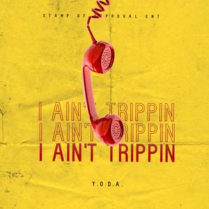 I Ain't Trippin (Remix) [Explicit]