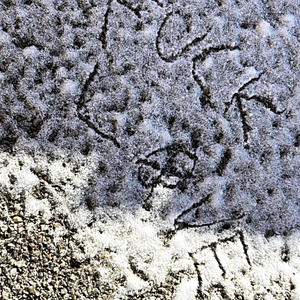 Not A Luv Song (feat. Blastt) (Explicit)