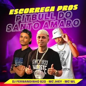 Escorrega Pros Pitbull do Santo Amaro