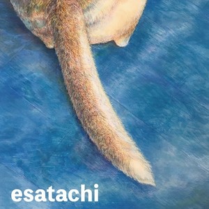 esatachi