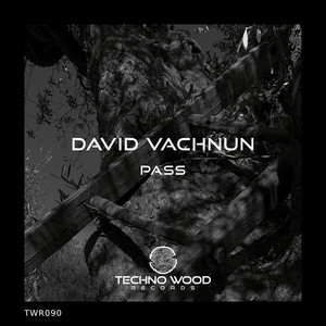 PASS (Original Mix)
