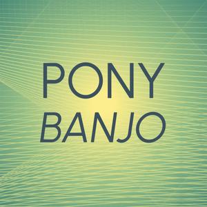 Pony Banjo