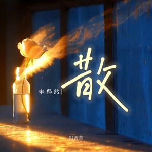 未释然 (散)封面