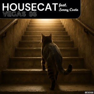 Housecat (Original Mix)