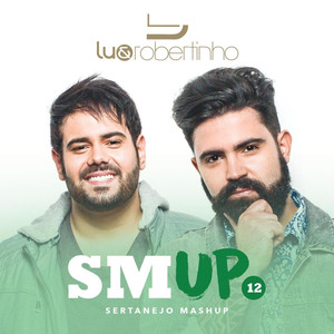 Sertanejo Mashup 12