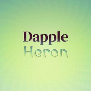 Dapple Heron