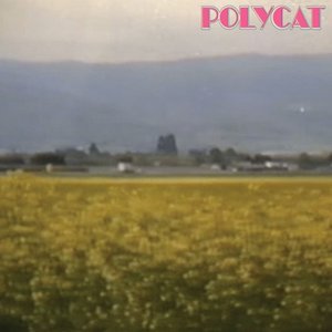 เวลาเธอยิ้ม (You Had Me At Hello)