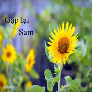 Gặp lại 1