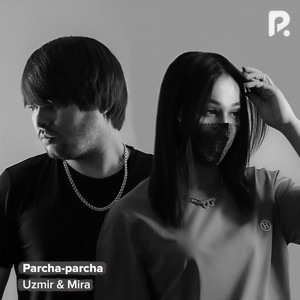Parcha-parcha