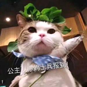 我想去造访一颗星 (COVER版)