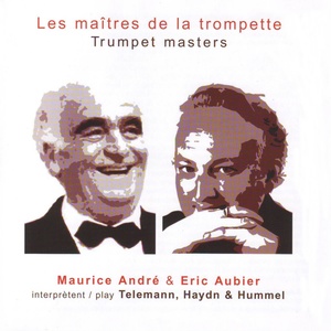 Concerto en Mi bémol majeur Hob. Vlle. 1 - Allegro