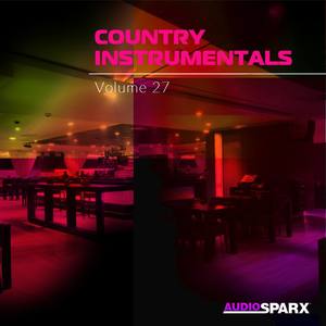 Country Instrumentals Volume 27