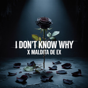I DON'T KNOW WHY x MALDITA DE EX