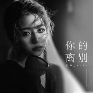 你的离别 (和声伴奏)