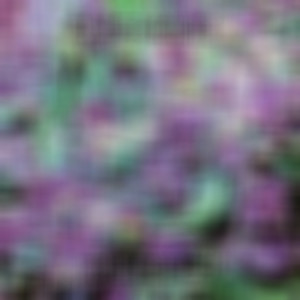 Dreadlock (Cool Green Grass Mix|Explicit)