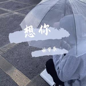 林宇辰-想你 (林宇辰 remix)