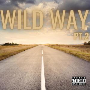 Wild Way Pt. 2 (Explicit)