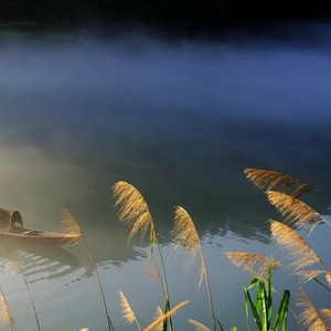 你的光影我的风景disco