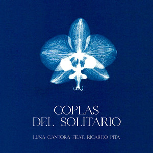 Coplas del Solitario