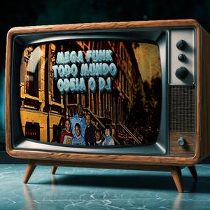 MEGA FUNK TODO MUNDO ODEIA O DJ