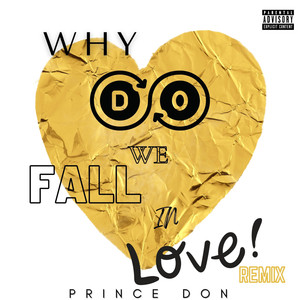 Why Do We Fall in Love (Remix|Explicit)