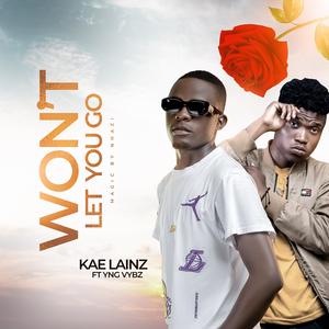 Won't Let You Go (feat. Yng Vybz)