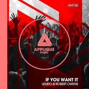 If You Want It (Original Mix)