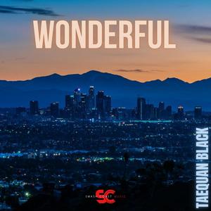 Wonderful (feat. Fingaz McGee(FM))