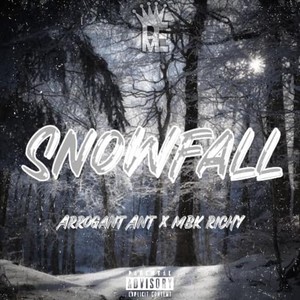 Snowfall (feat. MBK Richy) [Explicit]