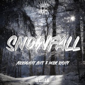 Snowfall (feat. MBK Richy) (Explicit)