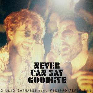 Never Can Say Goodbye