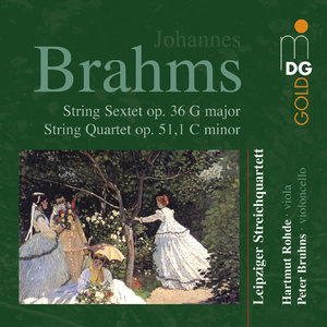 Sextet in G Major, Op. 36: I. Allegro non troppo