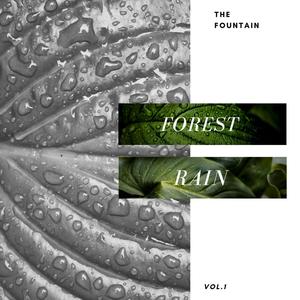 Forest Rain, Vol. 1