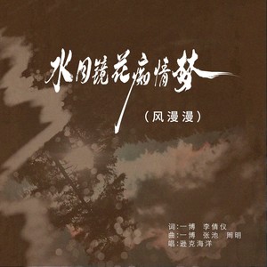 水月镜花痴情梦 (风漫漫)封面