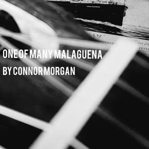 One of Many Malagueña