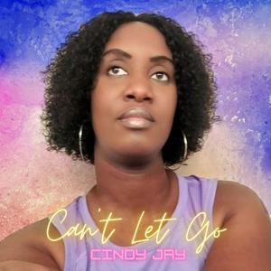 Can't Let Go (Accapella)