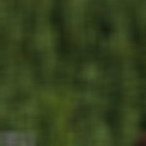 I'm On it (Explicit)