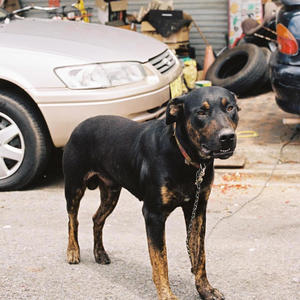 Step Back (feat. Poets One & Dj Rellik|Explicit)