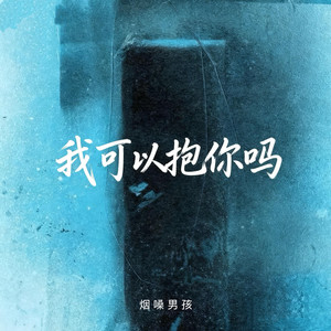 我可以抱你吗 (容我最后一次这样叫你)