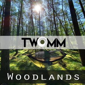 Woodlands(feat. Jacy Fever) (Drum & Bass Remix)