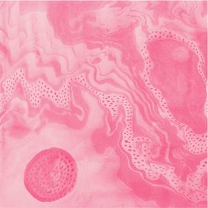 Rainy Day Relaxation