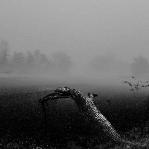 Your Love Pulled Me Apart Just Like an Earthquake