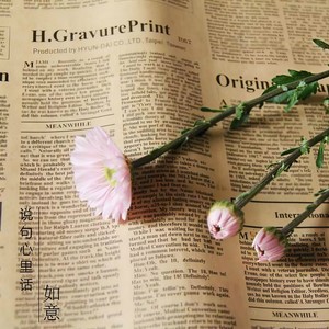 说句心里话 (伴奏)