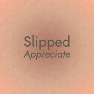 Slipped Appreciate