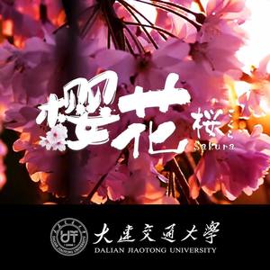 DJTU武汉加油