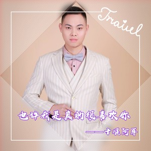 也许我是真的很喜欢你