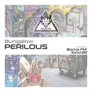 Perilous (Borka FM Remix)