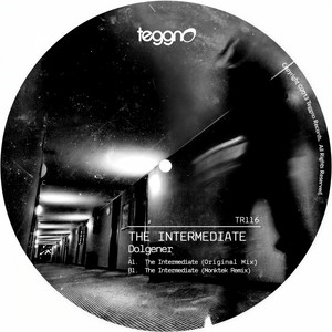 The Intermediate (Original Mix)